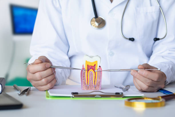 Best Emergency Root Canal Treatment in Corunna, MI